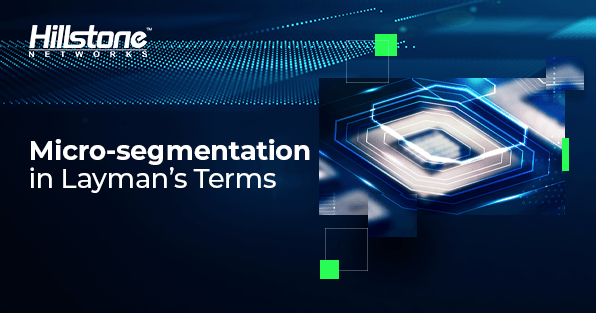 Micro-Segmentation